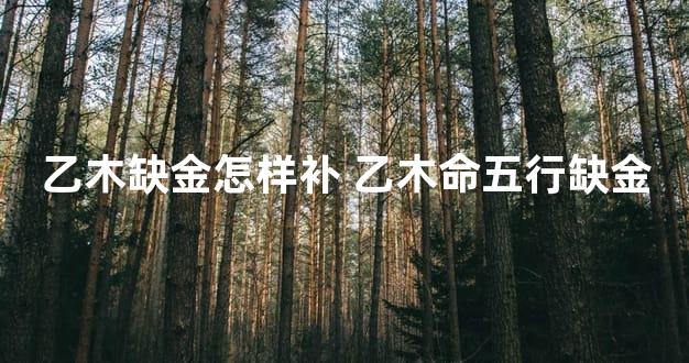 乙木缺金怎样补 乙木命五行缺金